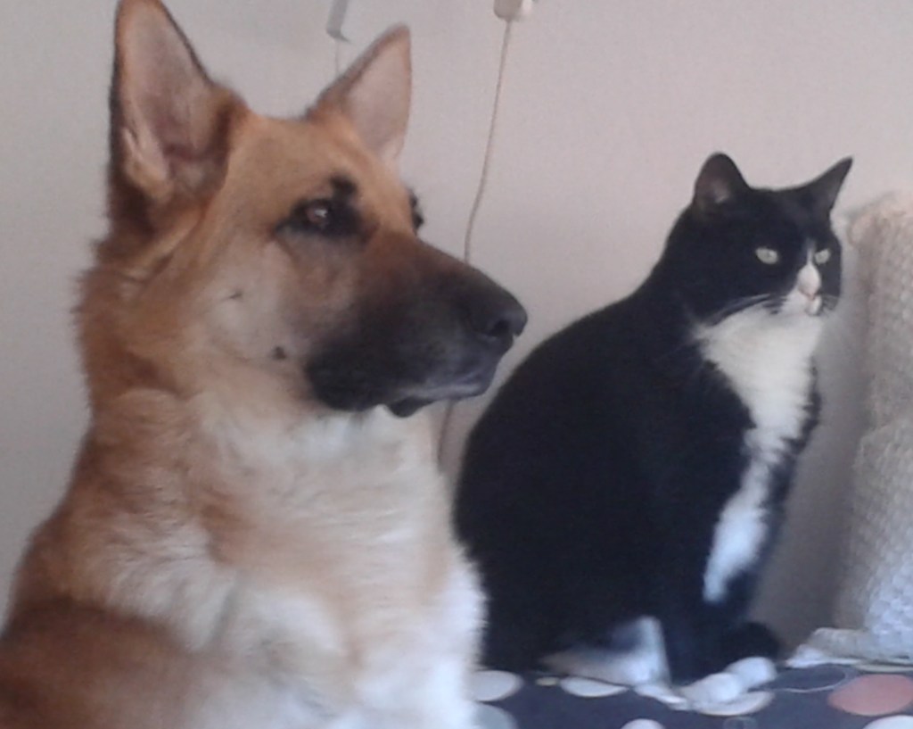 Puppy Love
